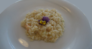 Gallery Mira Conero Risotto