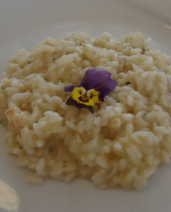 Mira Conero Ristorante - Risotto