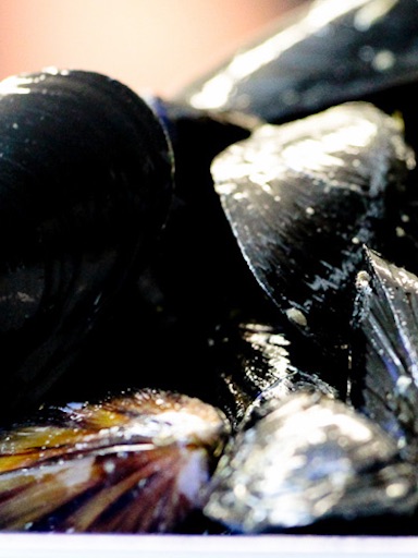Ingredienti del ristorante - pesce